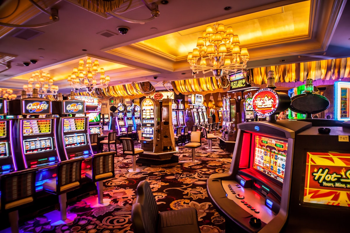 HG28288 live casino arena lights
